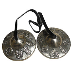 �A�W�A���G�݁@TEN-23�@�l�p�[������ �e�B���V��