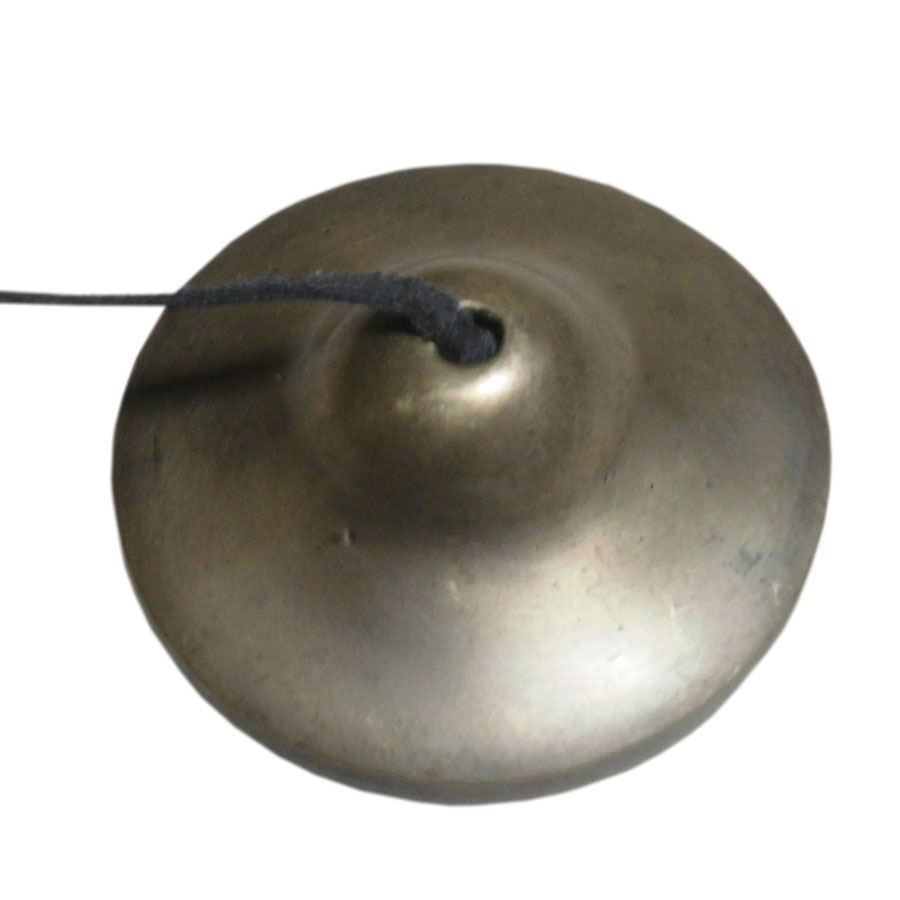 �A�W�A���G�݁@TEN-25�@�l�p�[������ �e�B���V��