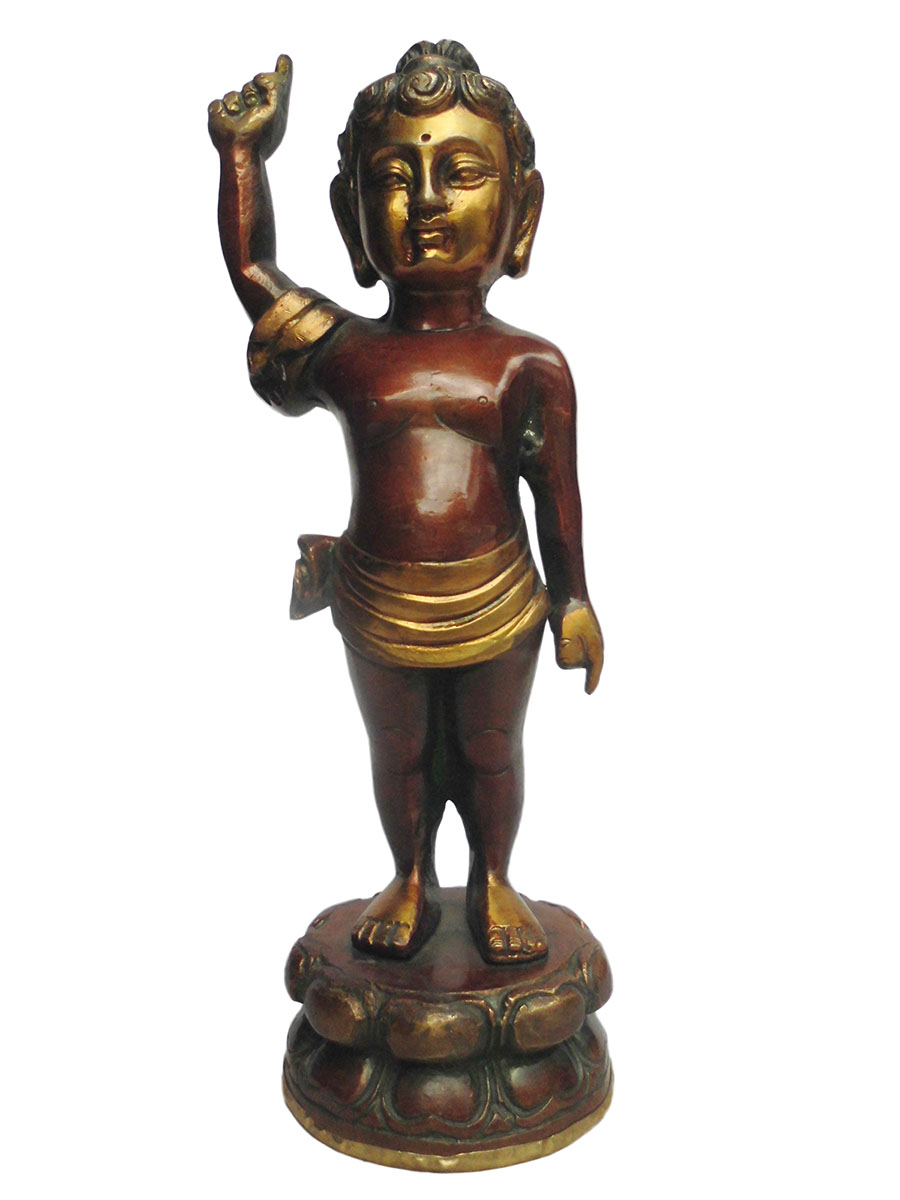 �A�W�A�G�݁@BBT-1�@�l�p�[�������@�u�b�^�a��