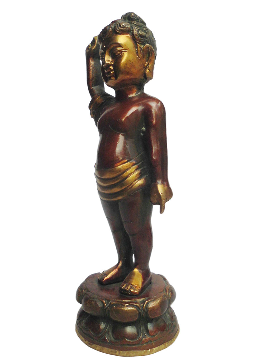 �A�W�A�G�݁@BBT-1�@�l�p�[�������@�u�b�^�a��