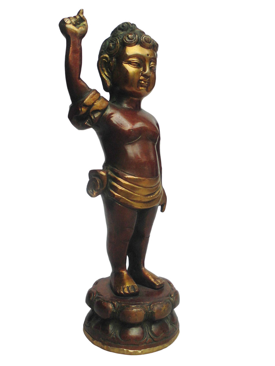 �A�W�A�G�݁@BBT-1�@�l�p�[�������@�u�b�^�a��