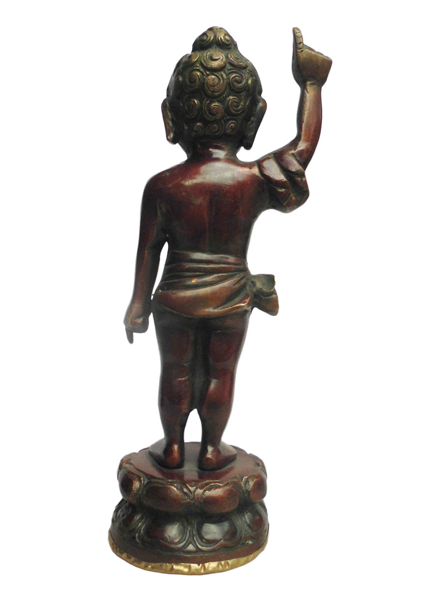 �A�W�A�G�݁@BBT-1�@�l�p�[�������@�u�b�^�a��