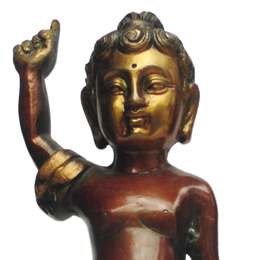 �A�W�A�G�݁@BBT-1�@�l�p�[�������@�u�b�^�a��