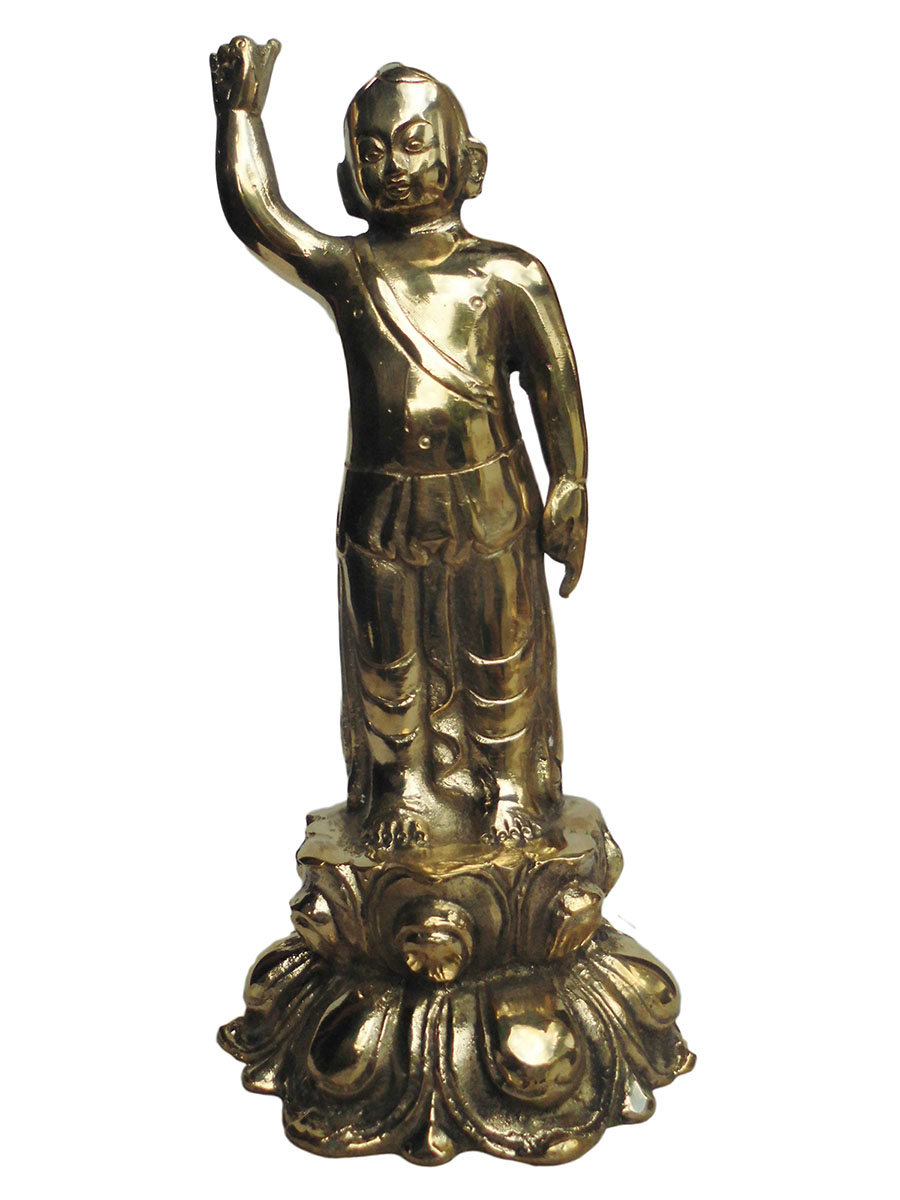 �A�W�A�G�݁@BBT-2�@�l�p�[�������@�u�b�^�a��