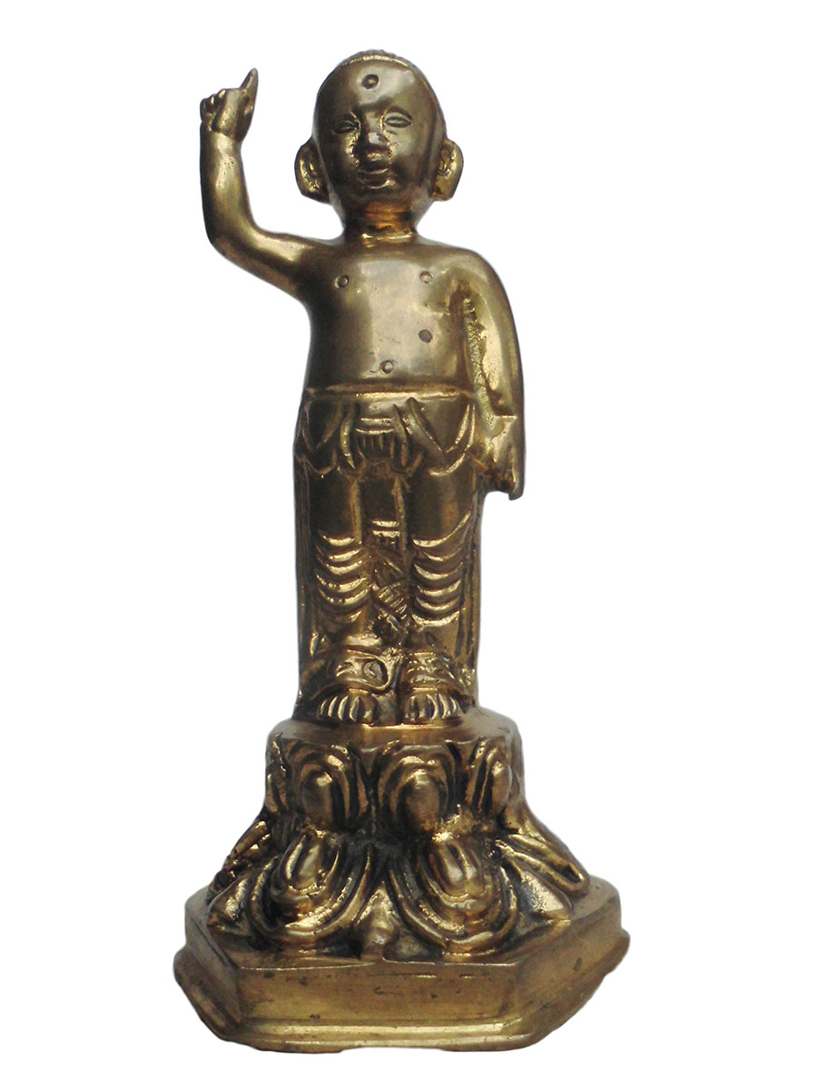 �A�W�A�G�݁@BBT-3�@�l�p�[�������@�u�b�^�a��