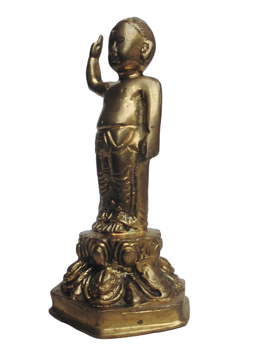 �A�W�A�G�݁@BBT-3�@�l�p�[�������@�u�b�^�a��