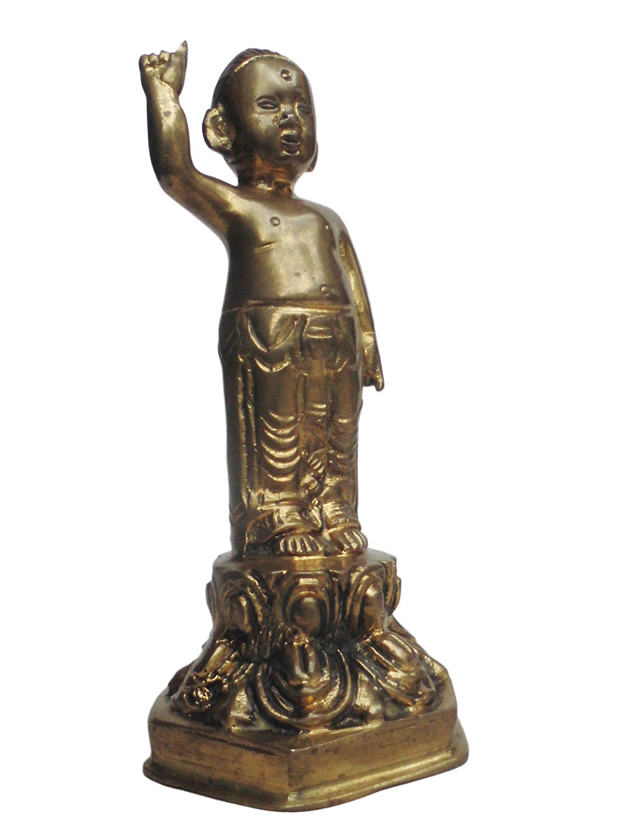 �A�W�A�G�݁@BBT-3�@�l�p�[�������@�u�b�^�a��