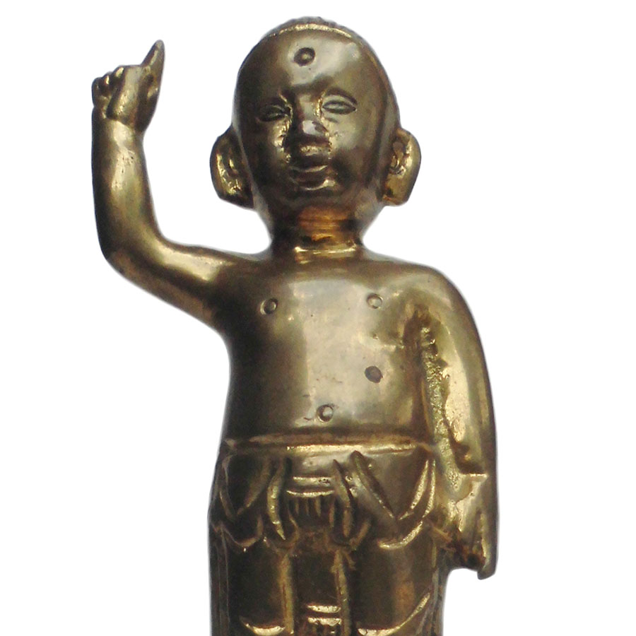 �A�W�A�G�݁@BBT-3�@�l�p�[�������@�u�b�^�a��