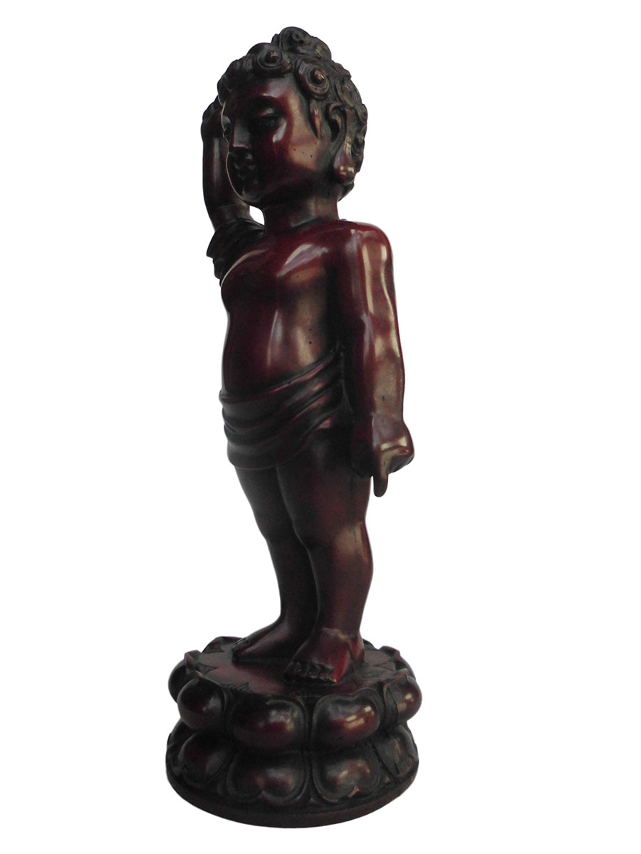 �A�W�A�G�݁@BBT-4�@�l�p�[�������@�u�b�^�a��