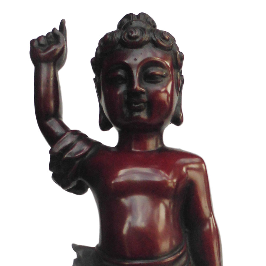 �A�W�A�G�݁@BBT-4�@�l�p�[�������@�u�b�^�a��