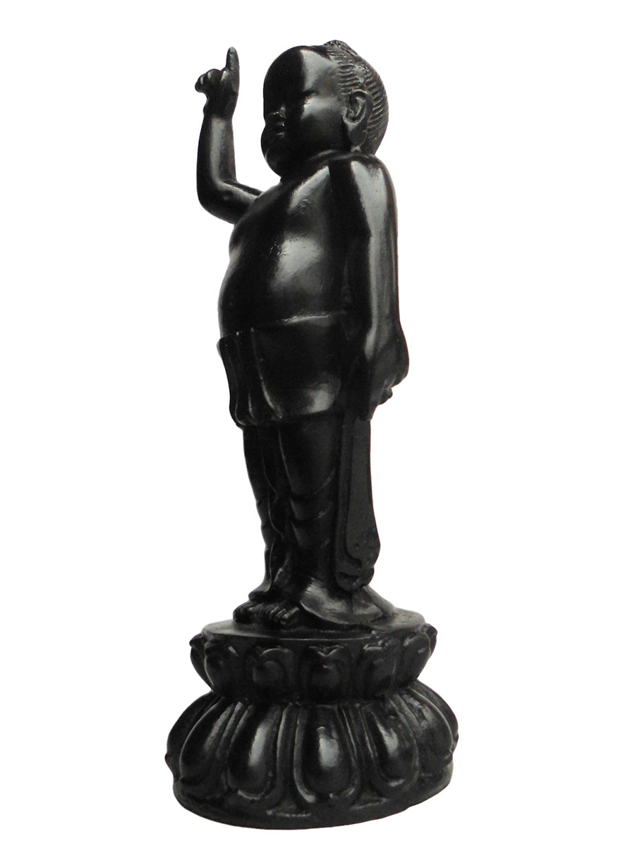 �A�W�A���G�݁@BBT-5�@�l�p�[�������@�u�b�^�a��