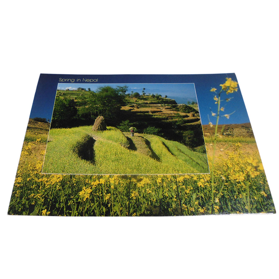 �A�W�A���G�� �@NYP-10�@�l�p�[���E�|�X�g�J�[�h(�R�Ǝ��R)