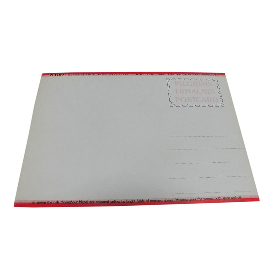 �A�W�A���G�� �@NYP-10�@�l�p�[���E�|�X�g�J�[�h(�R�Ǝ��R)