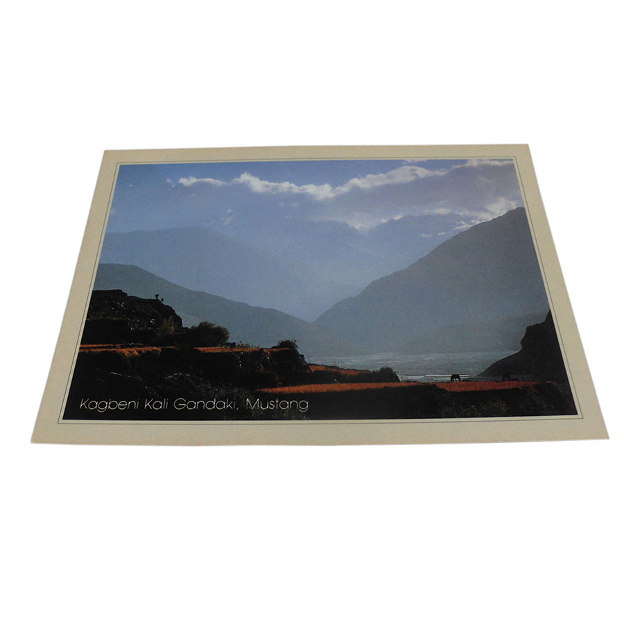 �A�W�A���G�� �@NYP-12�@�l�p�[���E�|�X�g�J�[�h(�R�Ǝ��R)