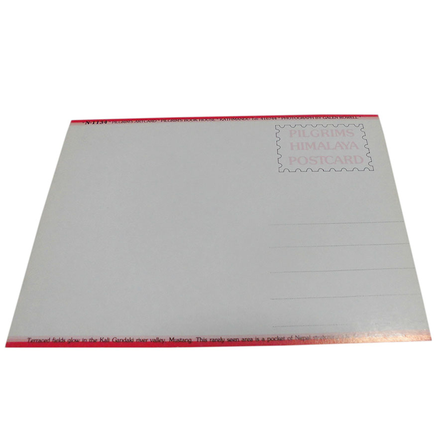 �A�W�A���G�� �@NYP-12�@�l�p�[���E�|�X�g�J�[�h(�R�Ǝ��R)