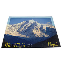 �A�W�A���G�� �@NYP-13�@�l�p�[���E�|�X�g�J�[�h(�R�Ǝ��R)