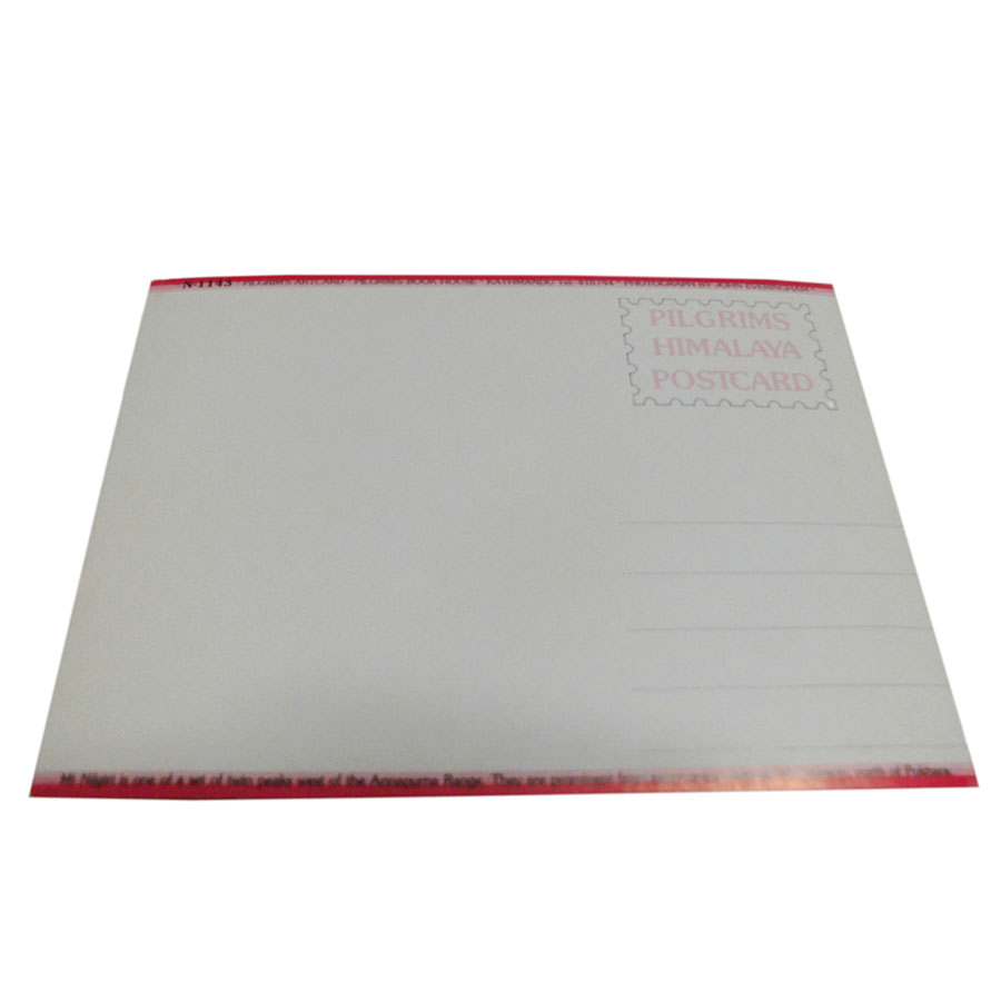 �A�W�A���G�� �@NYP-13�@�l�p�[���E�|�X�g�J�[�h(�R�Ǝ��R)