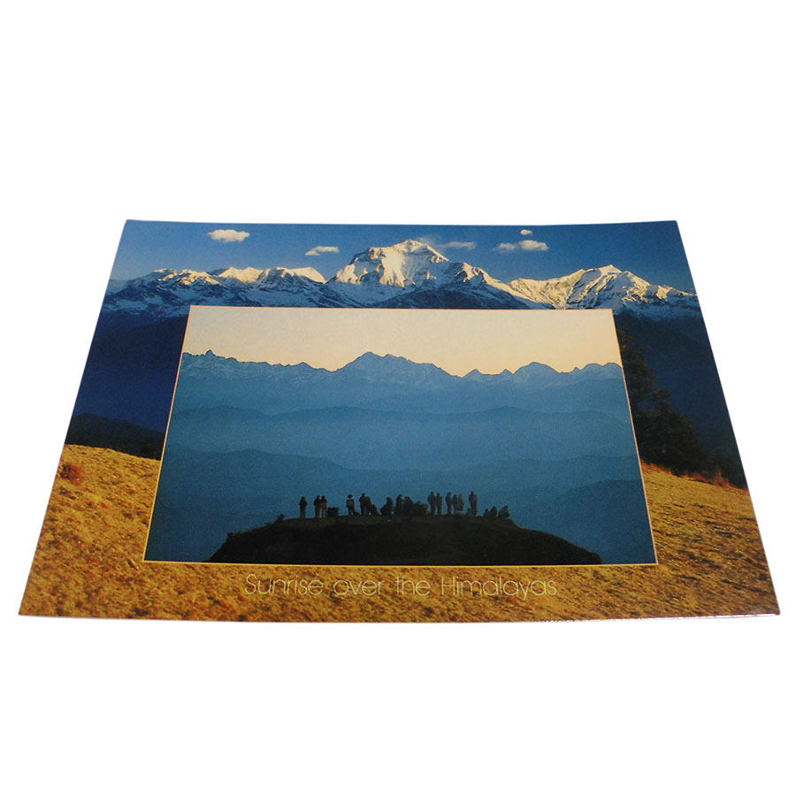 �A�W�A���G�� �@NYP-14�@�l�p�[���E�|�X�g�J�[�h(�R�Ǝ��R)