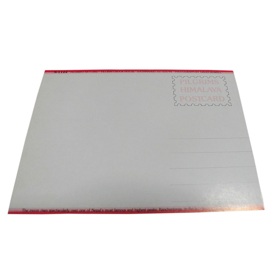 �A�W�A���G�� �@NYP-15�@�l�p�[���E�|�X�g�J�[�h(�R�Ǝ��R)