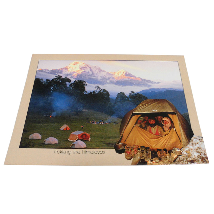 �A�W�A���G�� �@NYP-17�@�l�p�[���E�|�X�g�J�[�h(�R�Ǝ��R)