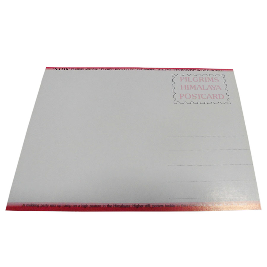 �A�W�A���G�� �@NYP-17�@�l�p�[���E�|�X�g�J�[�h(�R�Ǝ��R)