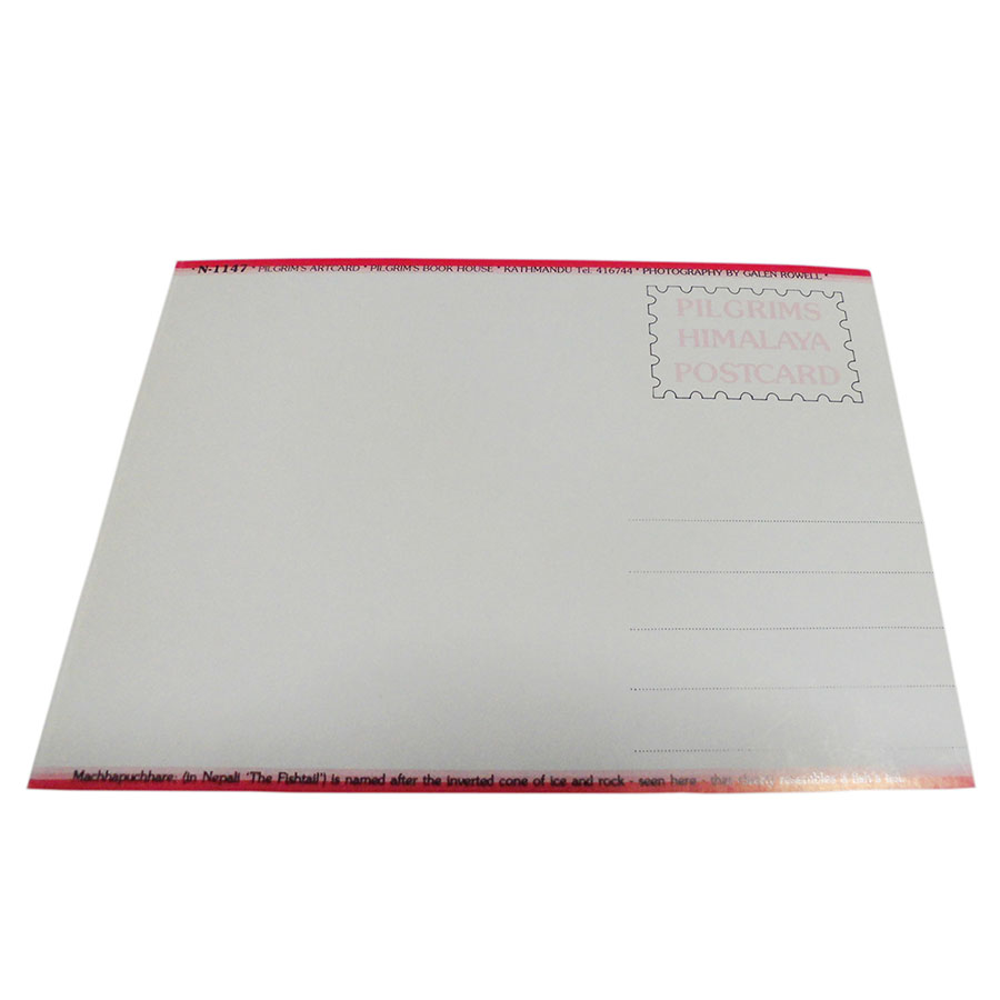 �A�W�A���G�� �@NYP-18�@�l�p�[���E�|�X�g�J�[�h(�R�Ǝ��R)