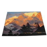 �A�W�A���G�� �@NYP-19�@�l�p�[���E�|�X�g�J�[�h(�R�Ǝ��R)