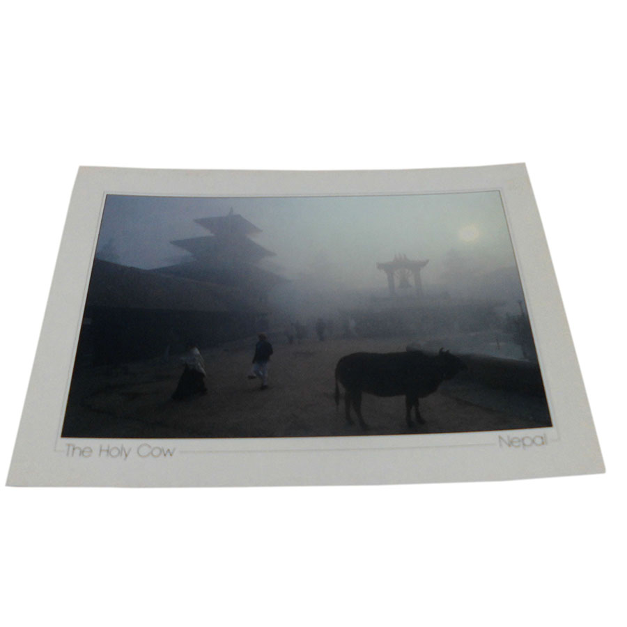 �A�W�A���G�� �@NYP-1�@�l�p�[���E�|�X�g�J�[�h(�R�Ǝ��R)