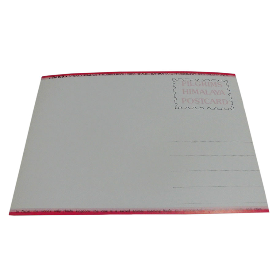 �A�W�A���G�� �@NYP-1�@�l�p�[���E�|�X�g�J�[�h(�R�Ǝ��R)