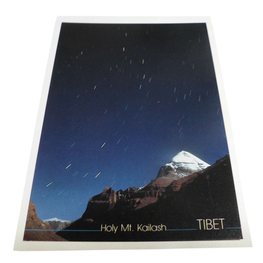 �A�W�A���G�� �@NYP-20�@�l�p�[���E�|�X�g�J�[�h(�R�Ǝ��R)