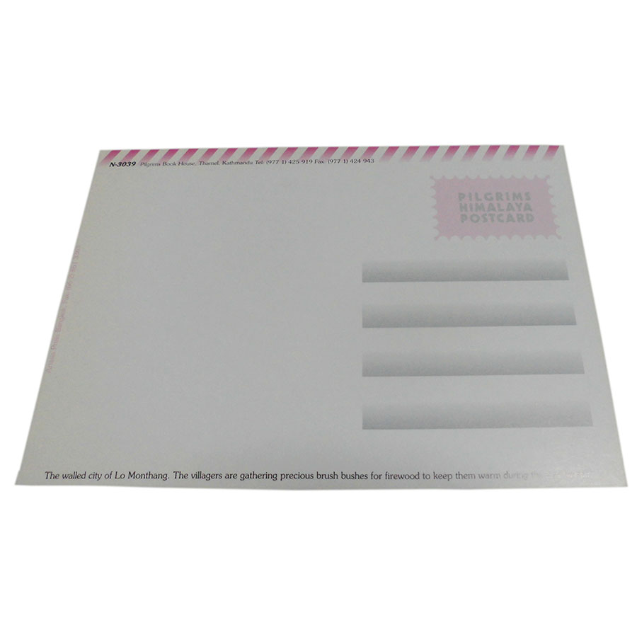 �A�W�A���G�� �@NYP-23�@�l�p�[���E�|�X�g�J�[�h(�R�Ǝ��R)