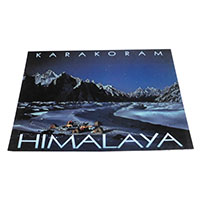 �A�W�A���G�� �@NYP-24�@�l�p�[���E�|�X�g�J�[�h(�R�Ǝ��R)