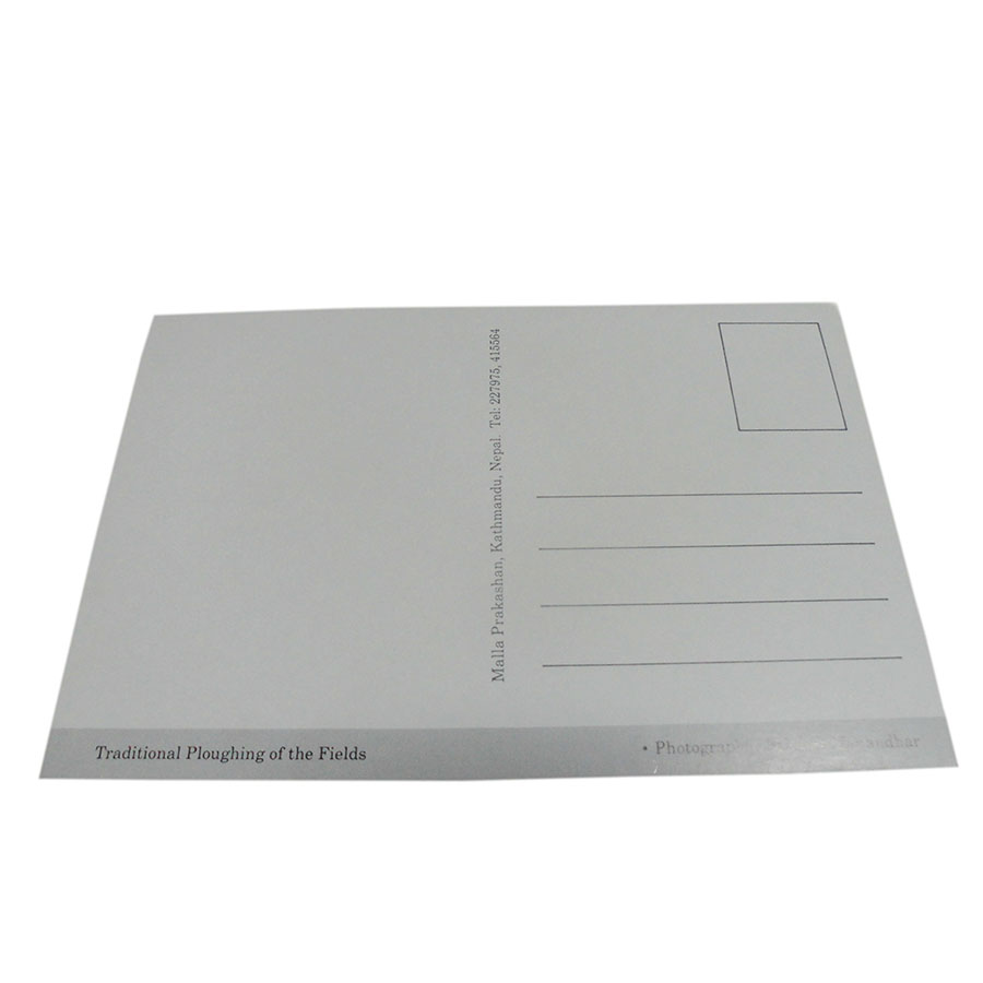 �A�W�A���G�� �@NYP-2�@�l�p�[���E�|�X�g�J�[�h(�R�Ǝ��R)