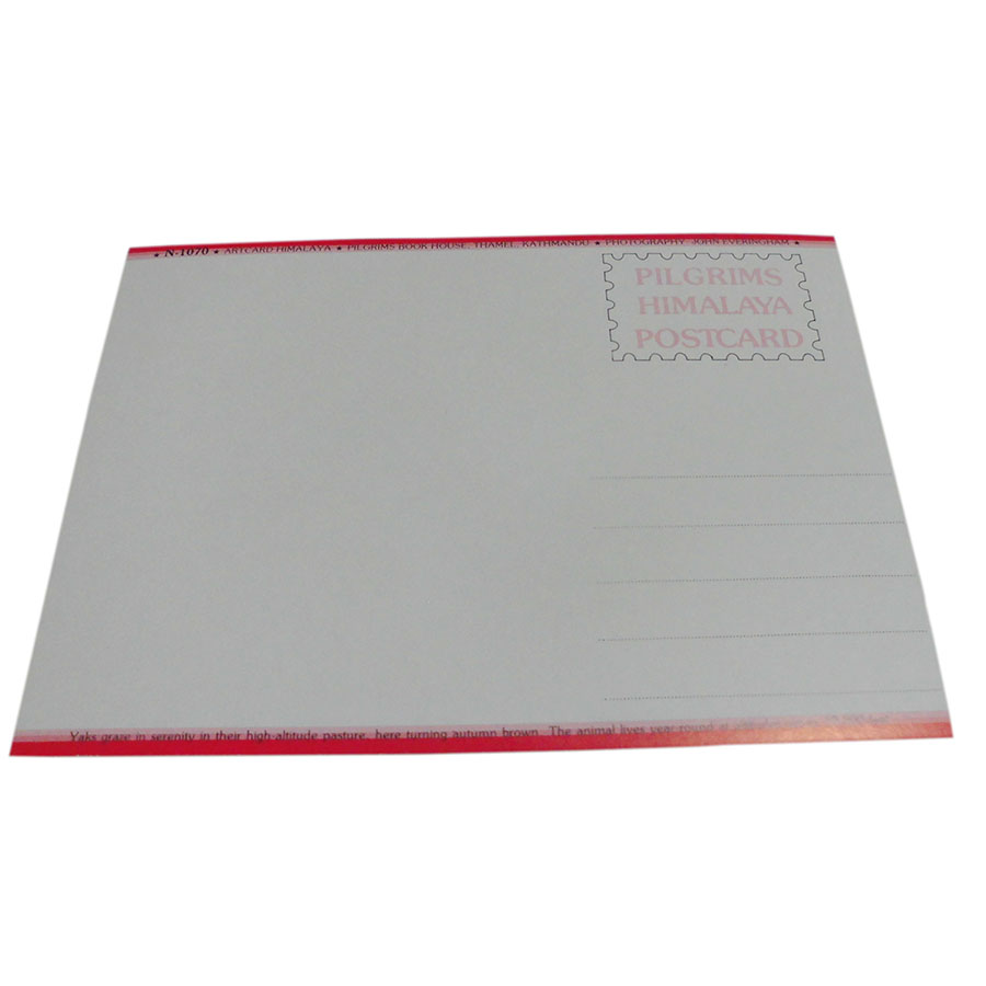 �A�W�A���G�� �@NYP-3�@�l�p�[���E�|�X�g�J�[�h(�R�Ǝ��R)