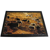 �A�W�A���G�� �@NYP-4�@�l�p�[���E�|�X�g�J�[�h(�R�Ǝ��R)