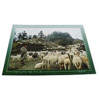 �A�W�A���G�� �@NYP-5�@�l�p�[���E�|�X�g�J�[�h(�R�Ǝ��R)