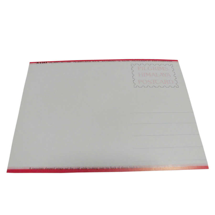 �A�W�A���G�� �@NYP-5�@�l�p�[���E�|�X�g�J�[�h(�R�Ǝ��R)