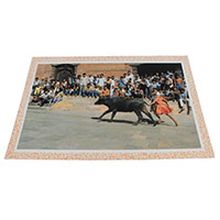 �A�W�A���G�� �@NYP-9�@�l�p�[���E�|�X�g�J�[�h(�R�Ǝ��R)