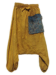 �A�W�A���ߗ��@ARP-30�@�R�b�g���E�A���r�A���E�p���c