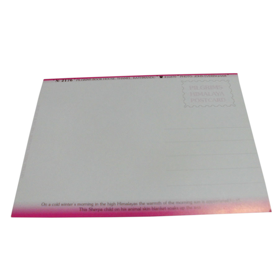 AWAG @NPE-29@lp[E|XgJ[h(lp[̐lX)