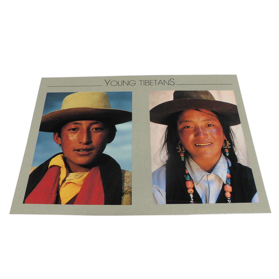 AWAG @NPE-30@lp[E|XgJ[h(lp[̐lX)