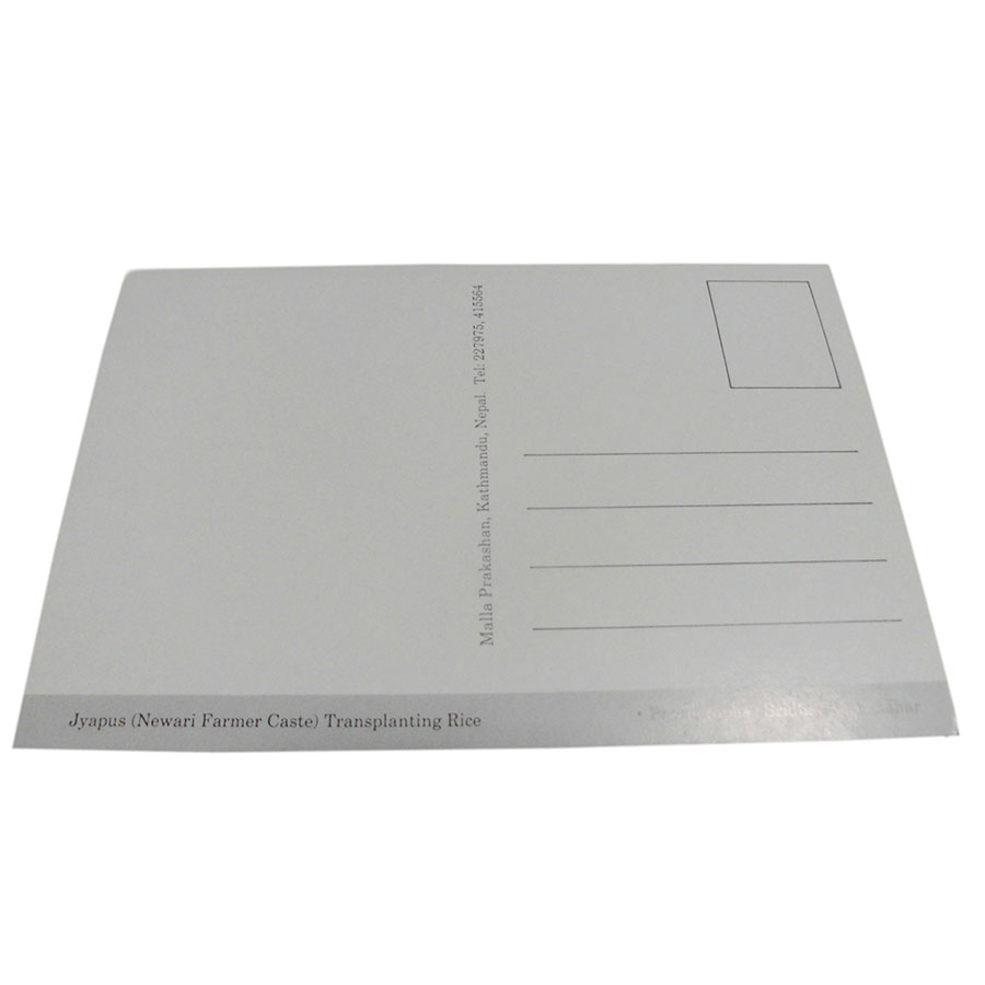 AWAG @NPE-36@lp[E|XgJ[h(lp[̐lX)