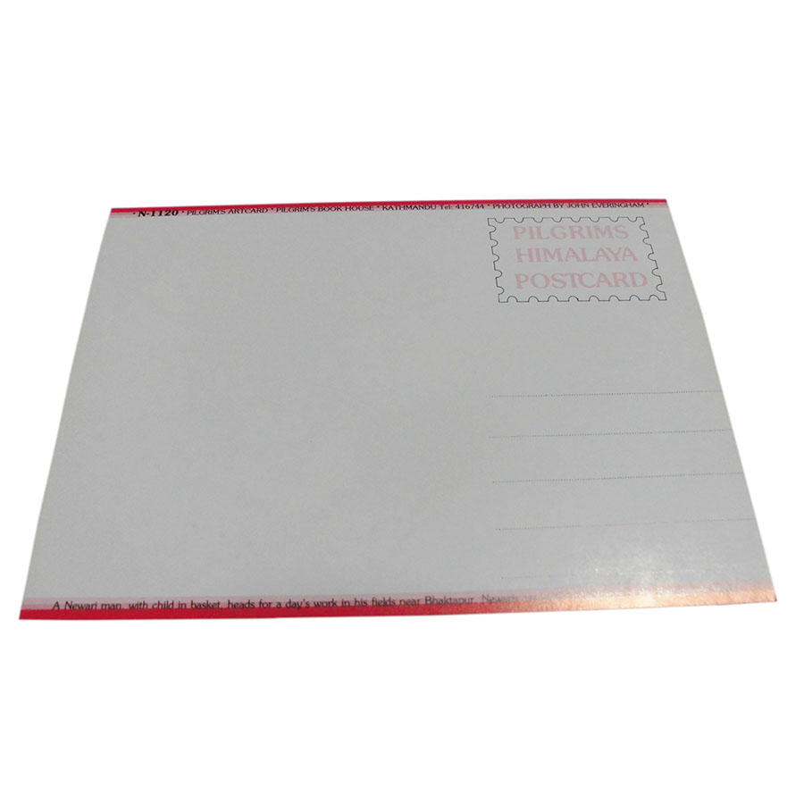 AWAG @NPE-37@lp[E|XgJ[h(lp[̐lX)