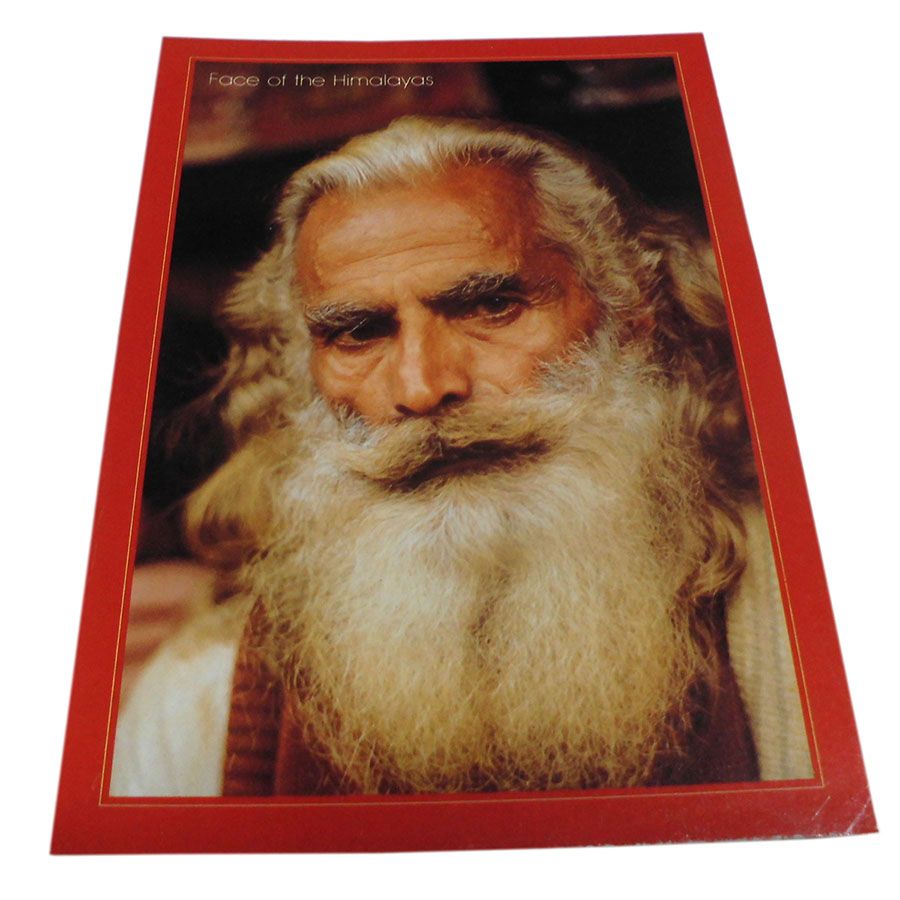 AWAG @NPE-39@lp[E|XgJ[h(lp[̐lX)