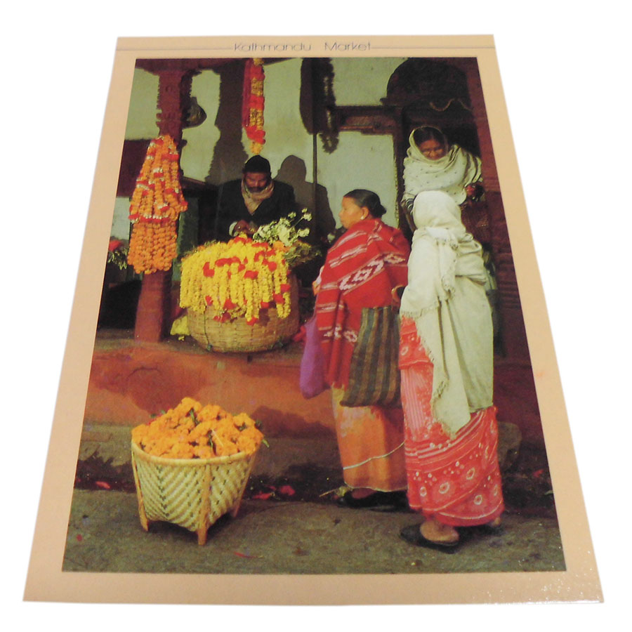 AWAG @NPE-40@lp[E|XgJ[h(lp[̐lX)