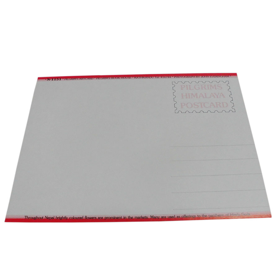 AWAG @NPE-40@lp[E|XgJ[h(lp[̐lX)