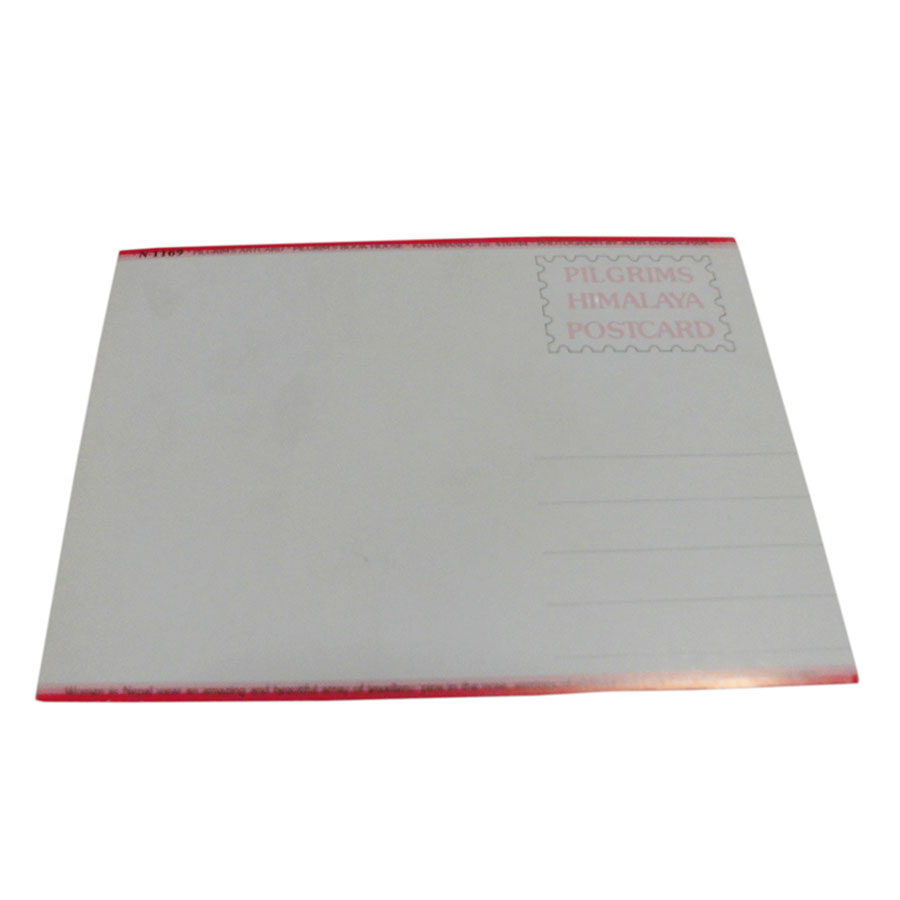 AWAG @NPE-41@lp[E|XgJ[h(lp[̐lX)