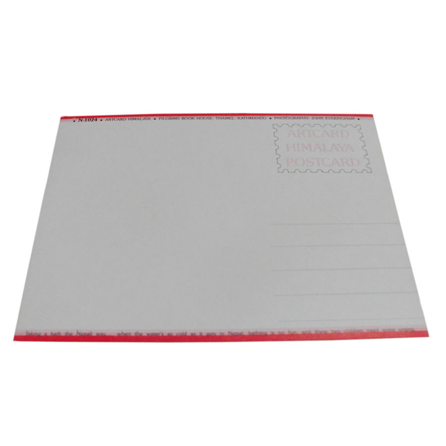 AWAG @NPE-47@lp[E|XgJ[h(lp[̐lX)