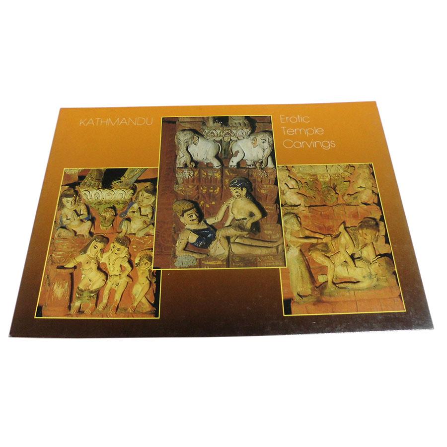 �A�W�A���G�� �@NTE-10�@�l�p�[���E�|�X�g�J�[�h(����)