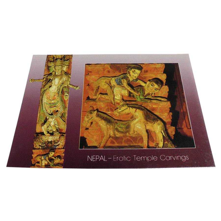 �A�W�A���G�� �@NTE-11�@�l�p�[���E�|�X�g�J�[�h(����)